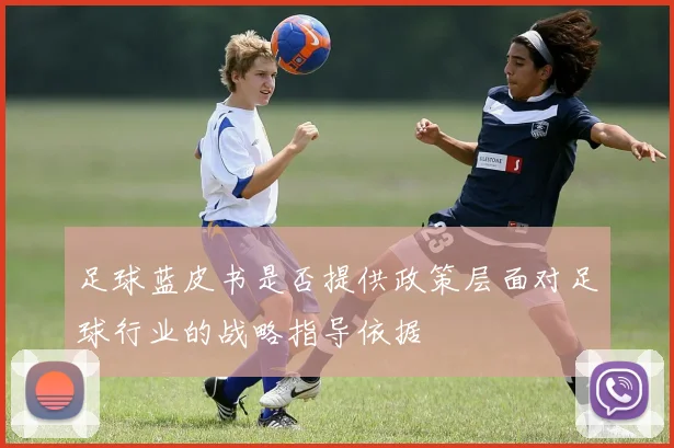 足球蓝皮书是否提供政策层面对足球行业的战略指导依据