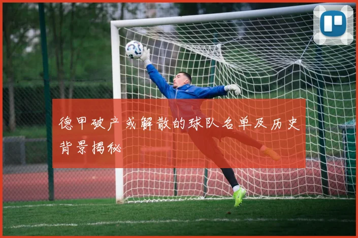 德甲破产或解散的球队名单及历史背景揭秘