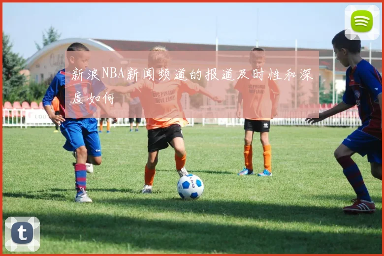 新浪NBA新闻频道的报道及时性和深度如何