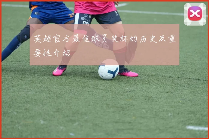 英超官方最佳球员奖杯的历史及重要性介绍