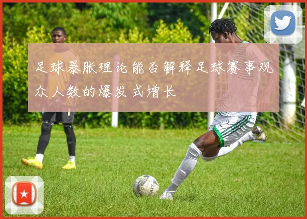 足球暴胀理论能否解释足球赛事观众人数的爆发式增长