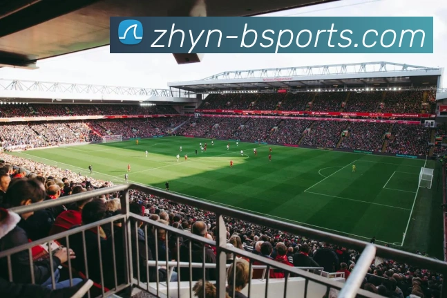 B体育Bsports平台生态图